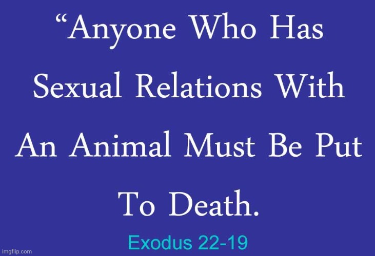 Anyone who has sexual relations with an animal | image tagged in anyone who has sexual relations with an animal | made w/ Imgflip meme maker