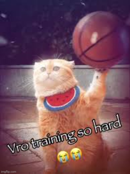 Vro training so hard | image tagged in vro training so hard | made w/ Imgflip meme maker