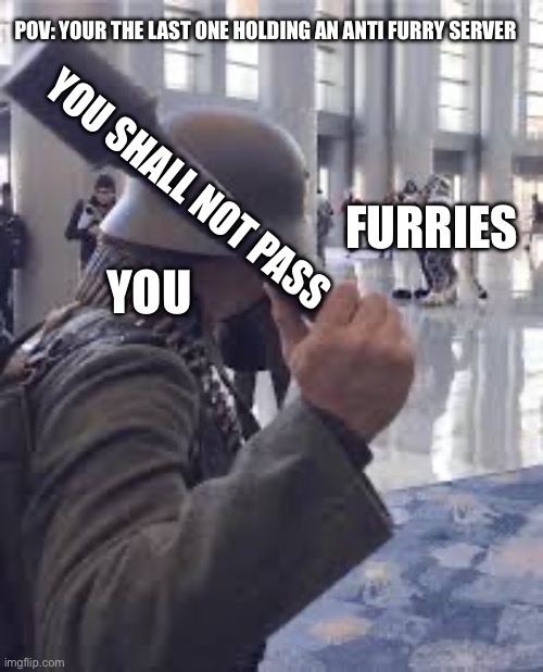 Server protection services how may I help you? | POV: YOUR THE LAST ONE HOLDING AN ANTI FURRY SERVER; YOU SHALL NOT PASS; FURRIES; YOU | image tagged in german soldier throwing grenade at furries | made w/ Imgflip meme maker