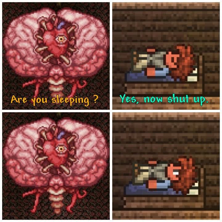 Are you sleeping? (Terraria Edition) Blank Meme Template