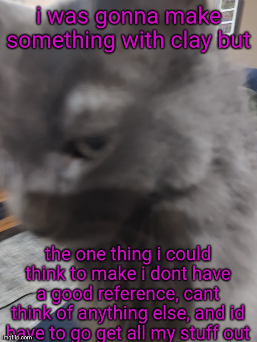 32's Cat | i was gonna make something with clay but; the one thing i could think to make i dont have a good reference, cant think of anything else, and id have to go get all my stuff out | image tagged in 32's cat | made w/ Imgflip meme maker