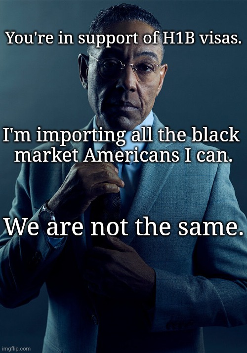 Gus Fring we are not the same | You're in support of H1B visas. I'm importing all the black 
market Americans I can. We are not the same. | image tagged in gus fring we are not the same | made w/ Imgflip meme maker