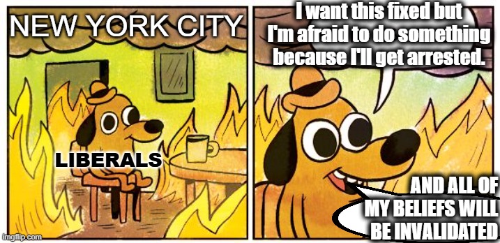 Beliefs | I want this fixed but I'm afraid to do something because I'll get arrested. NEW YORK CITY; LIBERALS; AND ALL OF MY BELIEFS WILL BE INVALIDATED | image tagged in memes,this is fine | made w/ Imgflip meme maker