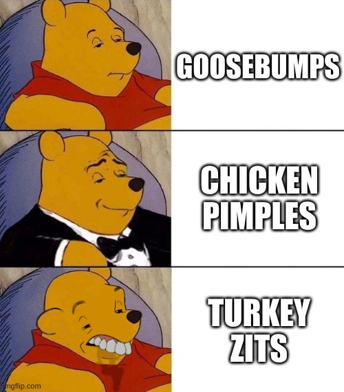 Credit to my sister | GOOSEBUMPS; CHICKEN PIMPLES; TURKEY ZITS | image tagged in best better blurst,memes,funny memes | made w/ Imgflip meme maker