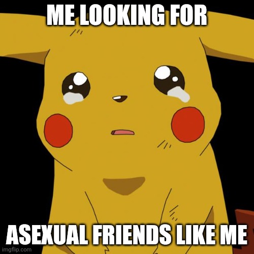 Dont hate plz | ME LOOKING FOR; ASEXUAL FRIENDS LIKE ME | image tagged in pikachu crying | made w/ Imgflip meme maker