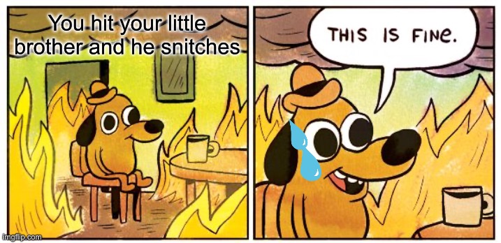 This is not fine | You hit your little brother and he snitches | image tagged in memes,this is fine | made w/ Imgflip meme maker