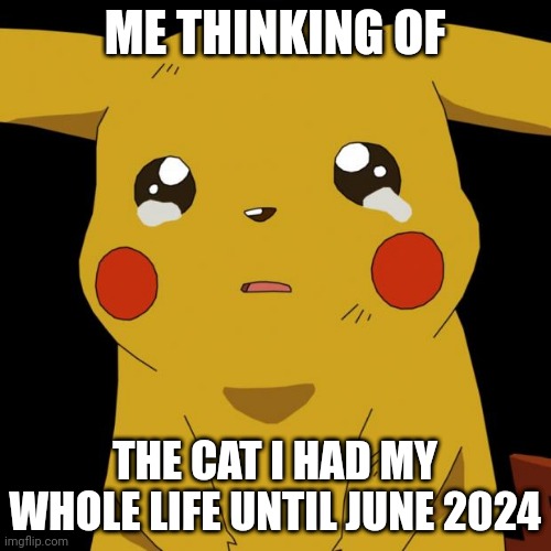 Not ment to be funny, just needed to let it out | ME THINKING OF; THE CAT I HAD MY WHOLE LIFE UNTIL JUNE 2024 | image tagged in pikachu crying,cat,sad but true,depression | made w/ Imgflip meme maker