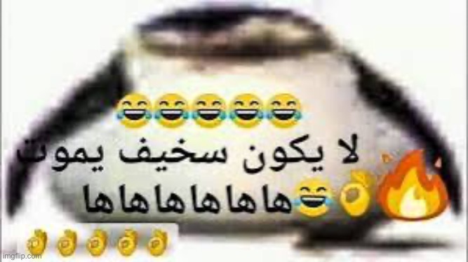 يا بلدي! مضحك جدا! | image tagged in msmg,arabic,arabic memes | made w/ Imgflip meme maker