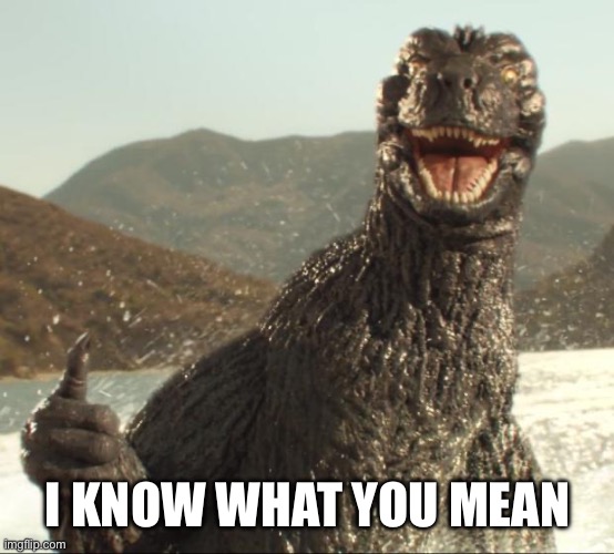 Godzilla approved | I KNOW WHAT YOU MEAN | image tagged in godzilla approved | made w/ Imgflip meme maker