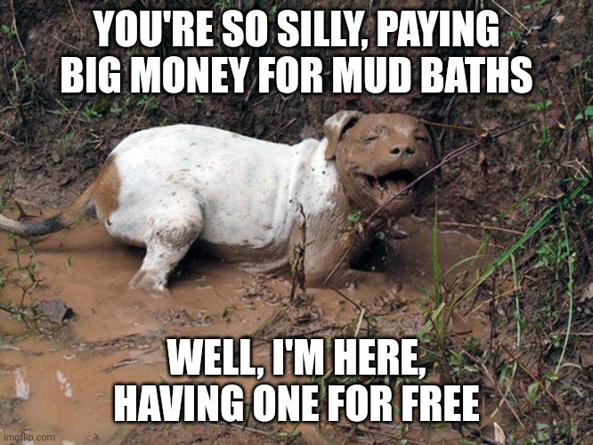 Happy dog in mud | YOU'RE SO SILLY, PAYING BIG MONEY FOR MUD BATHS; WELL, I'M HERE, HAVING ONE FOR FREE | image tagged in happy dog in mud | made w/ Imgflip meme maker