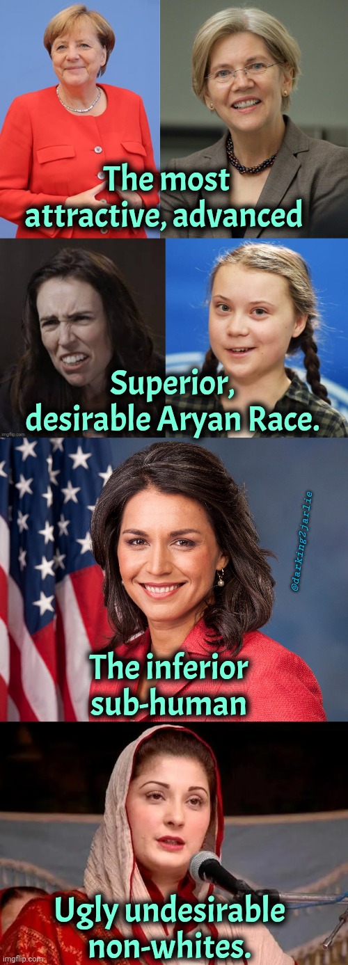 Sorry National Socialists, Whites ain't that attractive or desirable! | The most attractive, advanced; Superior, desirable Aryan Race. @darking2jarlie; The inferior sub-human; Ugly undesirable non-whites. | image tagged in tulsi gabbard,white supremacy,white nationalism,america,trump,politics | made w/ Imgflip meme maker