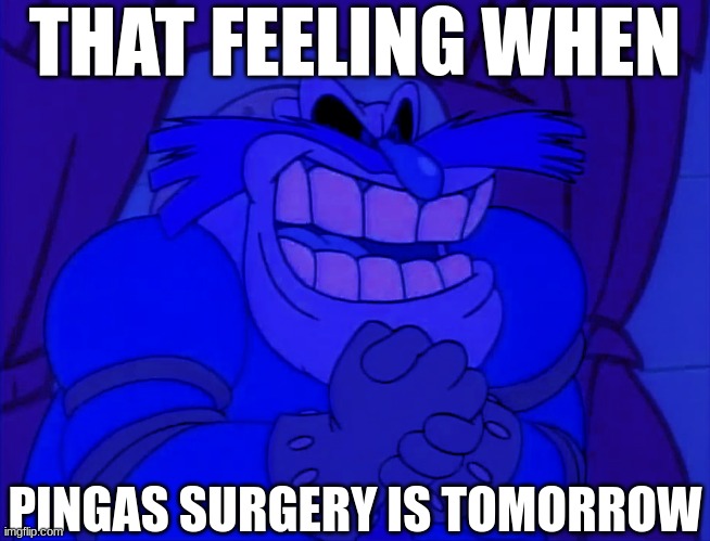 That feeling when Pingas surgery is tomorrow | THAT FEELING WHEN; PINGAS SURGERY IS TOMORROW | image tagged in that feeling when pingas surgery is tomorrow | made w/ Imgflip meme maker