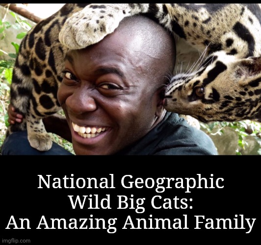 National Geographic
Wild Big Cats:
An Amazing Animal Family | made w/ Imgflip meme maker