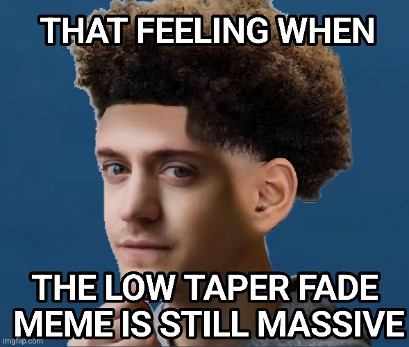 That feeling when the LOW TAPER FADE meme is still MASSIVE | image tagged in ninja,that feeling when | made w/ Imgflip meme maker