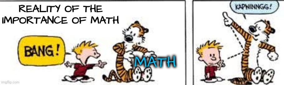 Embrace What You Can't Destroy | REALITY OF THE IMPORTANCE OF MATH; MATH | image tagged in can't destroy,math | made w/ Imgflip meme maker