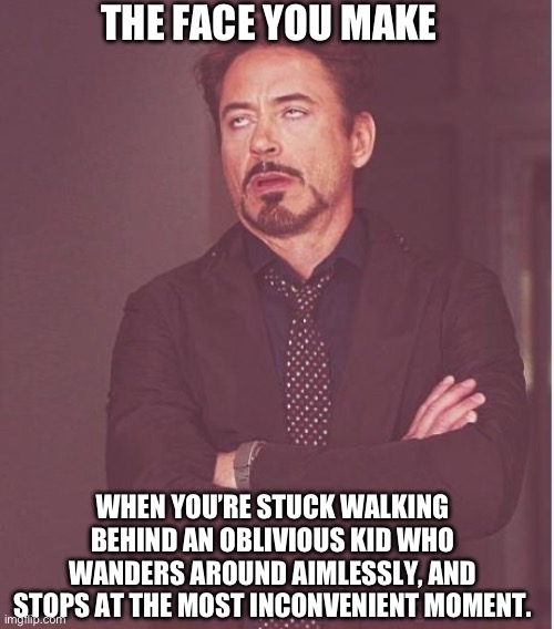 Face You Make Robert Downey Jr | THE FACE YOU MAKE; WHEN YOU’RE STUCK WALKING BEHIND AN OBLIVIOUS KID WHO WANDERS AROUND AIMLESSLY, AND STOPS AT THE MOST INCONVENIENT MOMENT. | image tagged in memes,face you make robert downey jr | made w/ Imgflip meme maker
