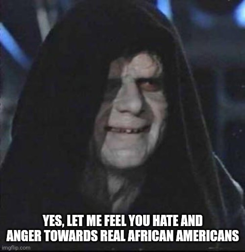 Sidious Error Meme | YES, LET ME FEEL YOU HATE AND ANGER TOWARDS REAL AFRICAN AMERICANS | image tagged in memes,sidious error | made w/ Imgflip meme maker
