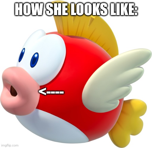 Cheep Cheep | HOW SHE LOOKS LIKE: <---- | image tagged in cheep cheep | made w/ Imgflip meme maker