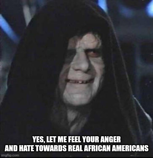 Sidious Error Meme | YES, LET ME FEEL YOUR ANGER AND HATE TOWARDS REAL AFRICAN AMERICANS | image tagged in memes,sidious error | made w/ Imgflip meme maker
