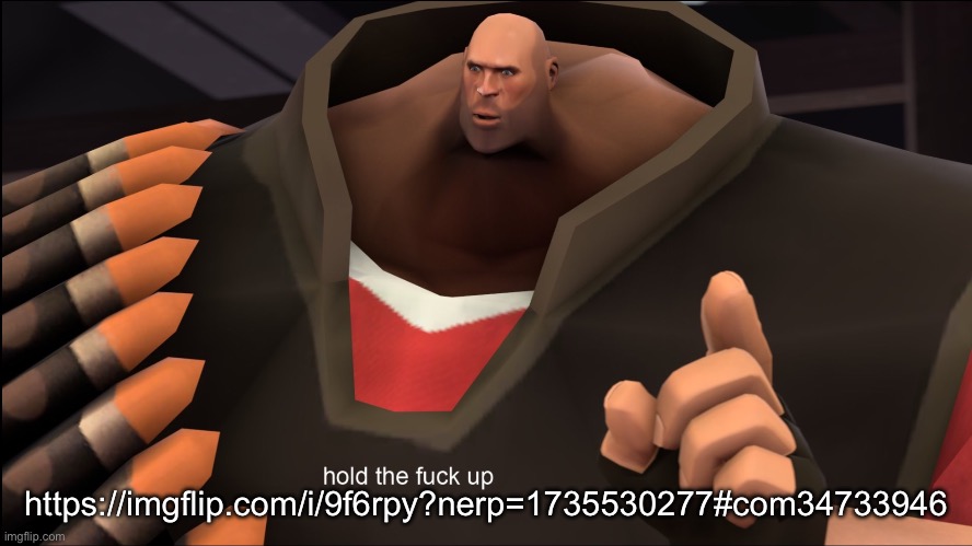 Hold The Fuck Up | https://imgflip.com/i/9f6rpy?nerp=1735530277#com34733946 | image tagged in hold the fuck up,msmg | made w/ Imgflip meme maker