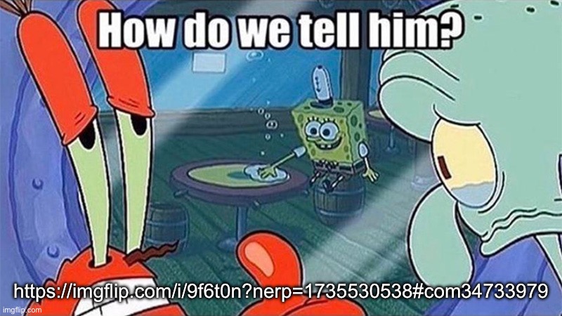 How do we tell him | https://imgflip.com/i/9f6t0n?nerp=1735530538#com34733979 | image tagged in how do we tell him,msmg | made w/ Imgflip meme maker