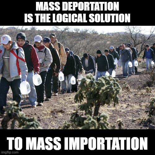 Mass Deportation | MASS DEPORTATION
IS THE LOGICAL SOLUTION; TO MASS IMPORTATION | image tagged in illegal immigration | made w/ Imgflip meme maker