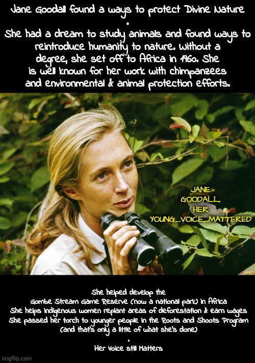 Young_Voices_Matter: an example | Jane Goodall found a ways to protect Divine Nature
.
She had a dream to study animals and found ways to reintroduce humanity to nature. Without a degree, she set off to Africa in 1960. She is well known for her work with chimpanzees and environmental & animal protection efforts. JANE GOODALL,
HER YOUNG_VOICE_MATTERED; She helped develop the Gombe Stream Game Reserve (now a national park) in Africa

She helps indigenous women replant areas of deforestation & earn wages
She passed her torch to younger people in the Roots and Shoots Program
(and that's only a little of what she's done)
.
Her Voice still Matters | image tagged in mother nature,young voices matter,heroes | made w/ Imgflip meme maker