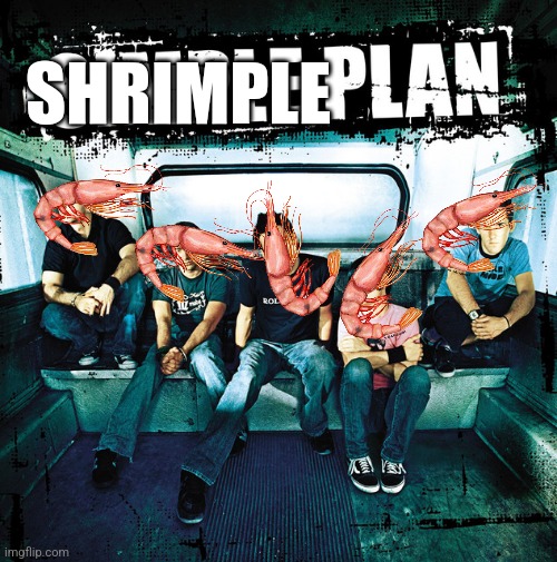 Shrimple plan | SHRIMPLE | image tagged in simple plan | made w/ Imgflip meme maker