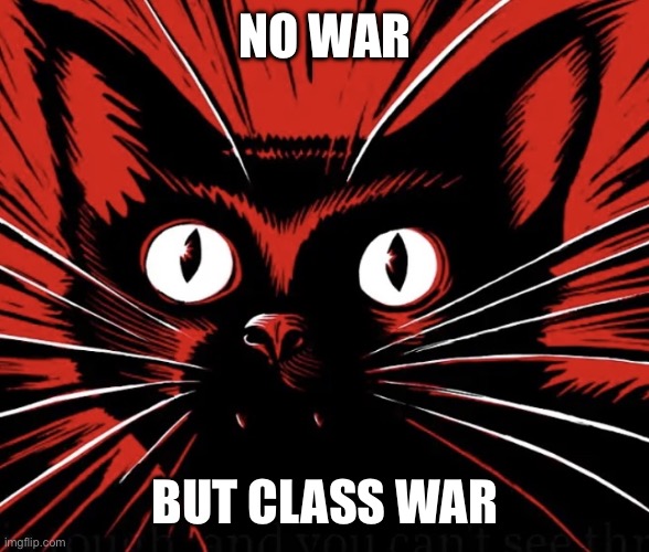 Sabo tabby cat | NO WAR; BUT CLASS WAR | image tagged in sabo tabby cat | made w/ Imgflip meme maker