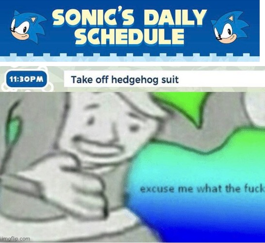 AW HELL NAH | image tagged in excuse me wtf blank template,sonic the hedgehog,what the fu-,ha ha tags go brr | made w/ Imgflip meme maker