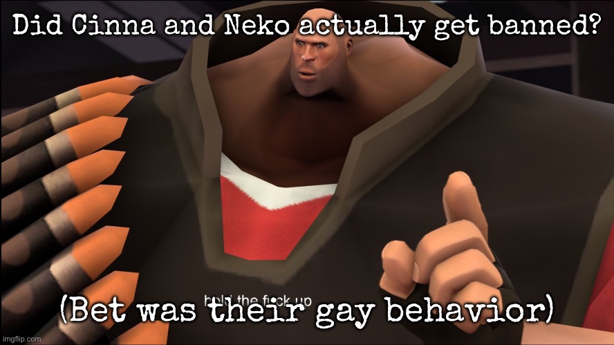 Hold The Fuck Up | Did Cinna and Neko actually get banned? (Bet was their gay behavior) | image tagged in hold the fuck up,msmg | made w/ Imgflip meme maker