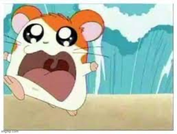Hamtaro | image tagged in hamtaro | made w/ Imgflip meme maker