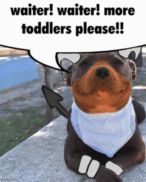 waiter!!! waiter!!! | image tagged in waiter waiter more toddlers houndoom | made w/ Imgflip meme maker