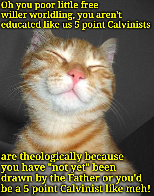 You Poor Free Willer | Oh you poor little free willer worldling, you aren't educated like us 5 point Calvinists; are theologically because you have "not yet" been drawn by the Father or you'd be a 5 point Calvinist like meh! | image tagged in smug cat,calvinism,arminian,molinism,reformed theology 5 point calvinists,ai dead pharisee pride | made w/ Imgflip meme maker