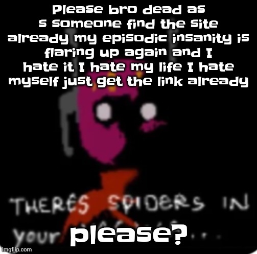 There's spiders in your vagina | Please bro dead as s someone find the site already my episodic insanity is flaring up again and I hate it I hate my life I hate myself just get the link already; please? | image tagged in there's spiders in your vagina | made w/ Imgflip meme maker