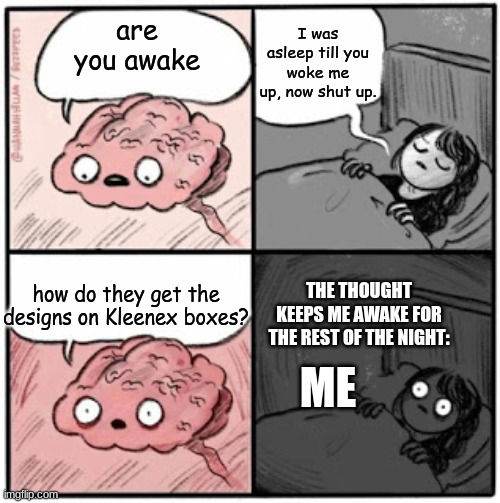 the thoughts in my brain before I fall asleep are the reason for my insomnia | I was asleep till you woke me up, now shut up. are you awake; how do they get the designs on Kleenex boxes? THE THOUGHT KEEPS ME AWAKE FOR THE REST OF THE NIGHT:; ME | image tagged in brain before sleep | made w/ Imgflip meme maker