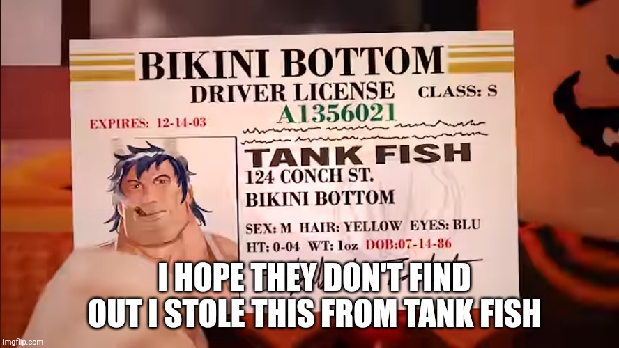 I stole tank fishes fake driver license | I HOPE THEY DON'T FIND OUT I STOLE THIS FROM TANK FISH | image tagged in roblox,license | made w/ Imgflip meme maker