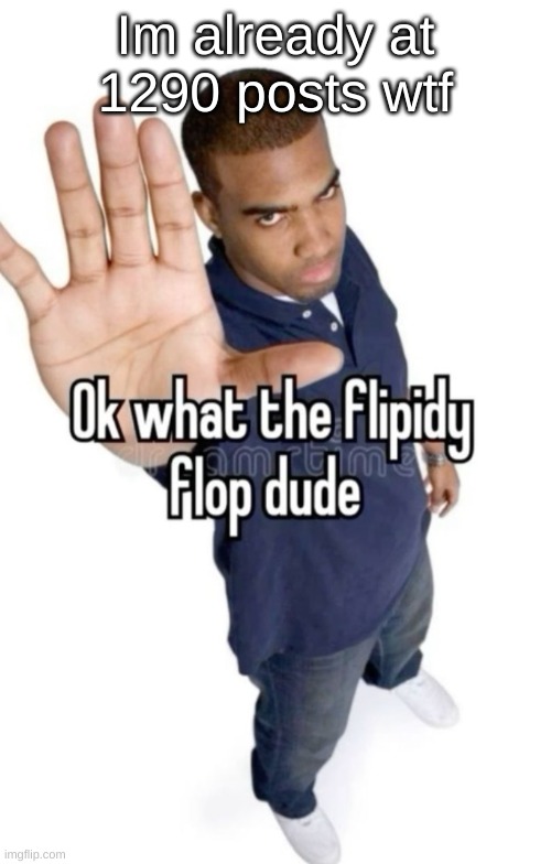 I don't post that much bruh | Im already at 1290 posts wtf | image tagged in ok what the flipity flop dude | made w/ Imgflip meme maker