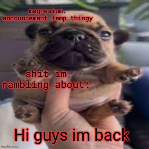 pug temp | Hi guys im back | image tagged in pug temp | made w/ Imgflip meme maker