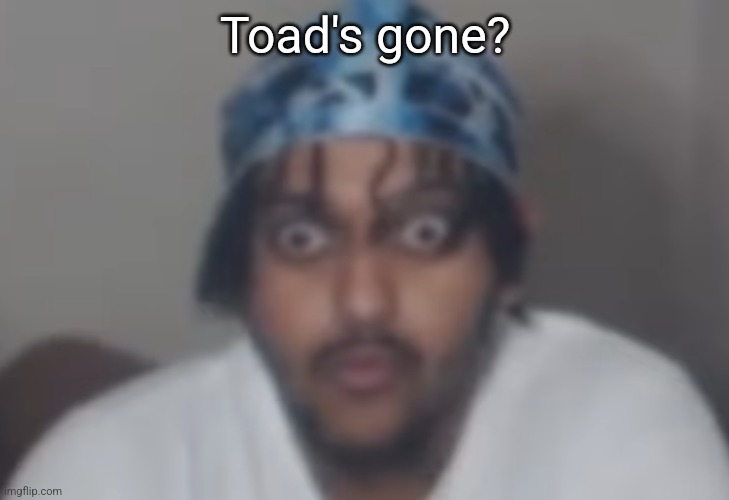 Omegle victim 1 | Toad's gone? | image tagged in omegle victim 1 | made w/ Imgflip meme maker