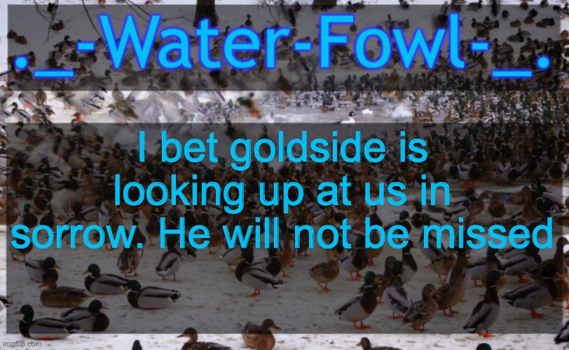 WaterFowl Announcement temp | I bet goldside is looking up at us in sorrow. He will not be missed | image tagged in waterfowl announcement temp | made w/ Imgflip meme maker