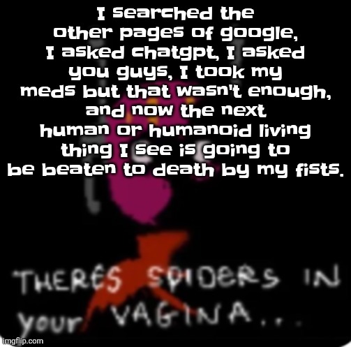 There's spiders in your vagina | I searched the other pages of google, I asked chatgpt, I asked you guys, I took my meds but that wasn't enough, and now the next human or humanoid living thing I see is going to be beaten to death by my fists. | image tagged in there's spiders in your vagina | made w/ Imgflip meme maker