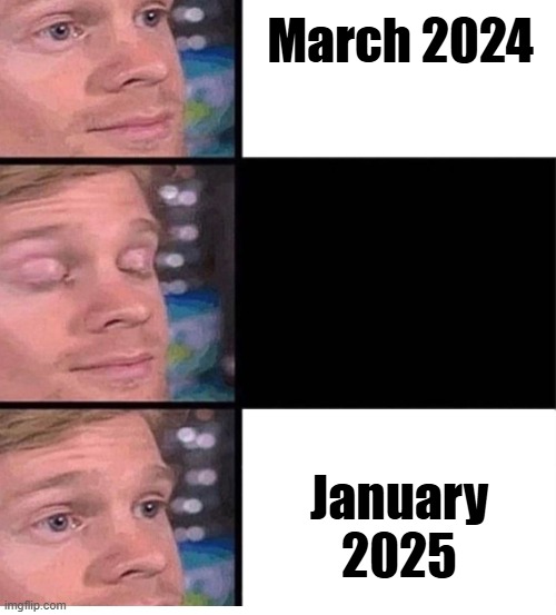 This year went by flying ._. | March 2024; January 2025 | image tagged in blinking guy vertical blank | made w/ Imgflip meme maker