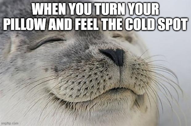 True | WHEN YOU TURN YOUR PILLOW AND FEEL THE COLD SPOT | image tagged in memes,satisfied seal | made w/ Imgflip meme maker