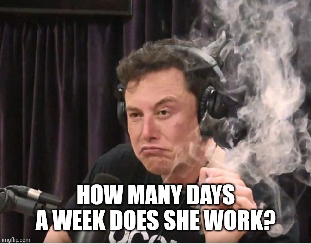 Elon Musk smoking a joint | HOW MANY DAYS A WEEK DOES SHE WORK? | image tagged in elon musk smoking a joint | made w/ Imgflip meme maker