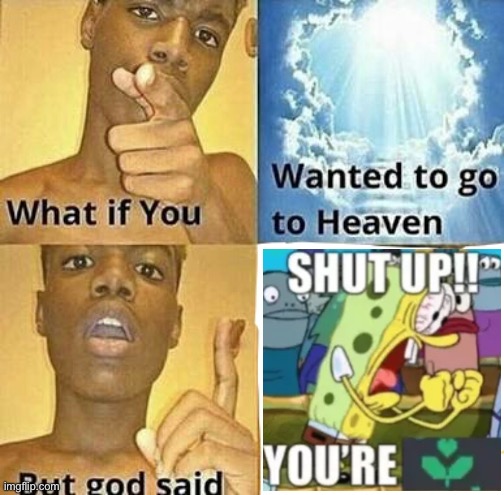 what if… | image tagged in what if you wanted to go to heaven,discord | made w/ Imgflip meme maker