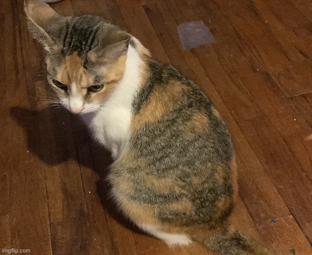 I wanna go back home already :( | made w/ Imgflip meme maker