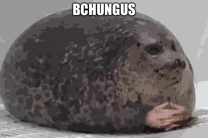 Fat seal with interlocked hands | BCHUNGUS | image tagged in fat seal with interlocked hands | made w/ Imgflip meme maker