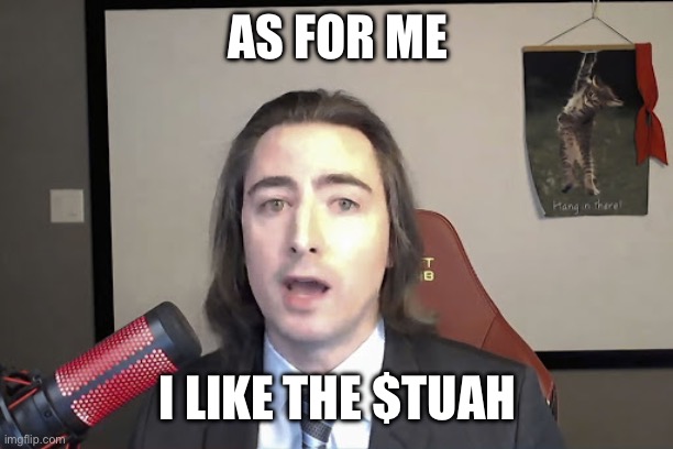 I like the $TUAH | AS FOR ME; I LIKE THE $TUAH | image tagged in i like the stock | made w/ Imgflip meme maker