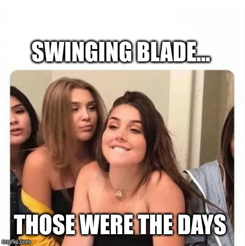 horny girl | SWINGING BLADE... THOSE WERE THE DAYS | image tagged in horny girl | made w/ Imgflip meme maker